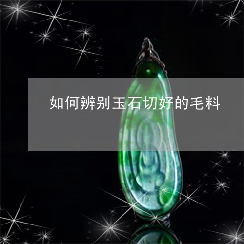 如何辨别玉石切好的毛料/2023110672724