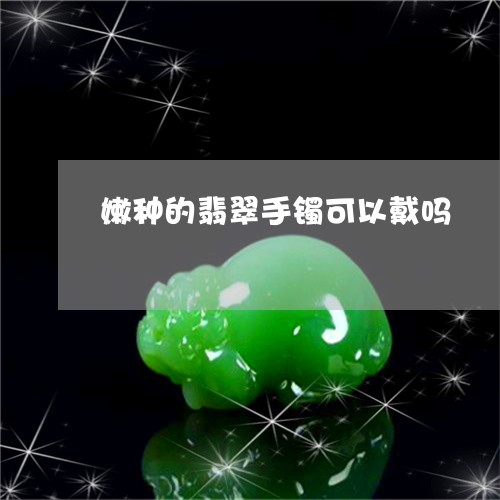 嫩种的翡翠手镯可以戴吗/2023041527150