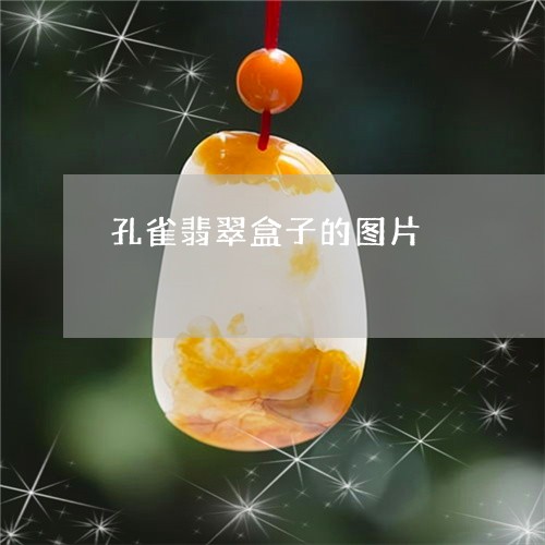 孔雀翡翠盒子的图片/2023120511402