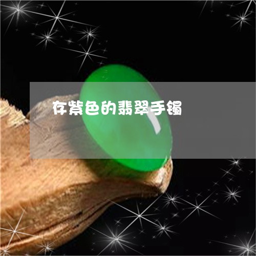 存紫色的翡翠手镯/2023092419493