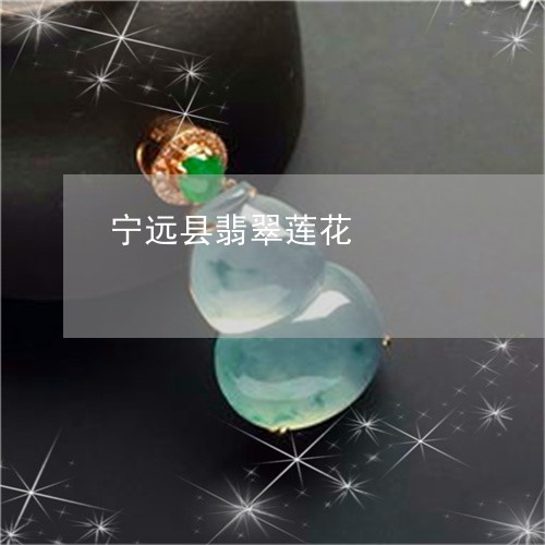 宁远县翡翠莲花/2023052067150