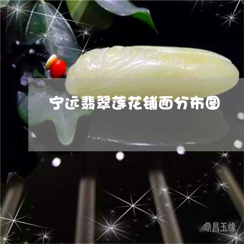 宁远翡翠莲花铺面分布图/2023110808481