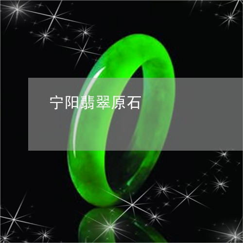 宁阳翡翠原石/2023060539284