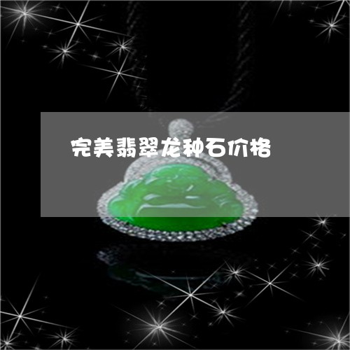 完美翡翠龙种石价格/2023120548259