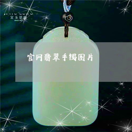 官网翡翠手镯图片/2023122308179