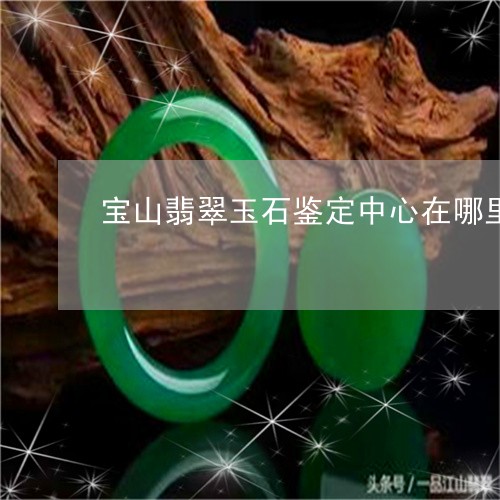 宝山翡翠玉石鉴定中心在哪里/2023112362415