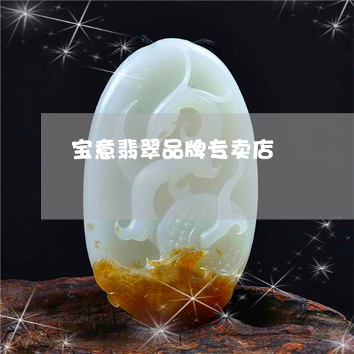 宝意翡翠品牌专卖店/2023093022818