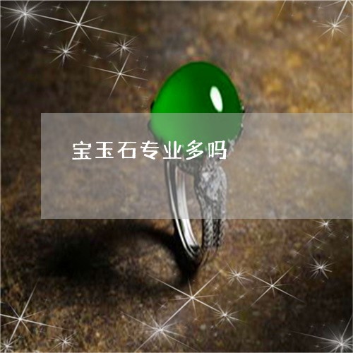 宝玉石专业多吗/2023062437048