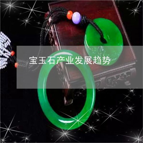 宝玉石产业发展趋势/2023121640371