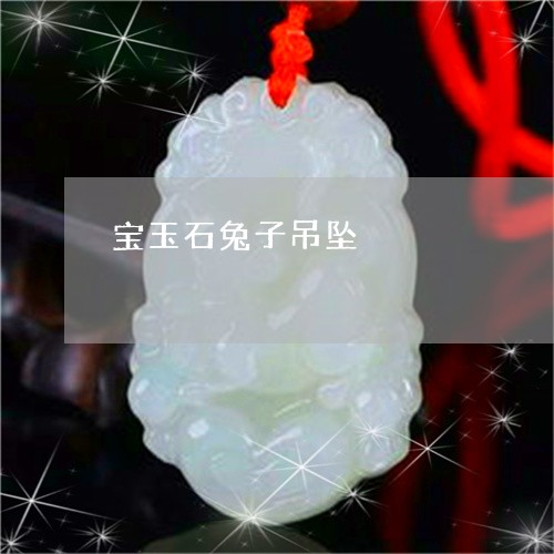 宝玉石兔子吊坠/2023062331503