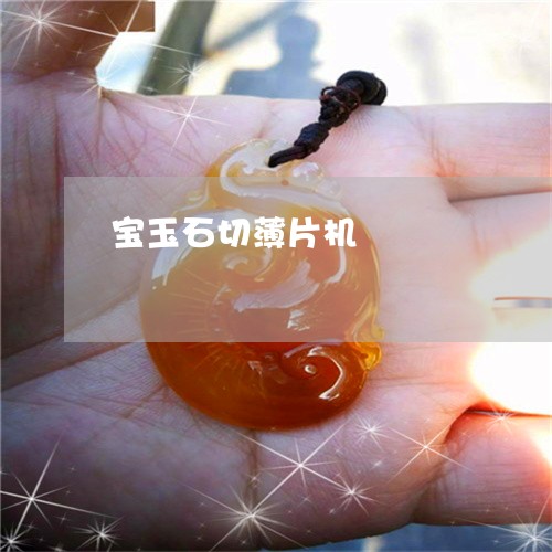 宝玉石切薄片机/2023062395038