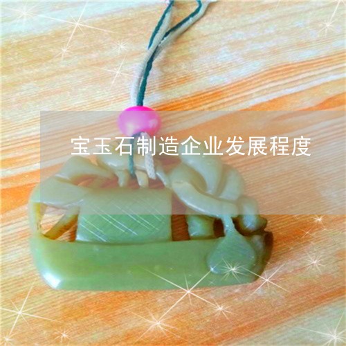 宝玉石制造企业发展程度/2023041640736