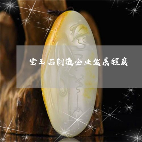 宝玉石制造企业发展程度/2023081459482