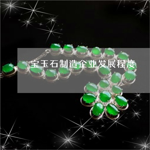 宝玉石制造企业发展程度/2023110746160