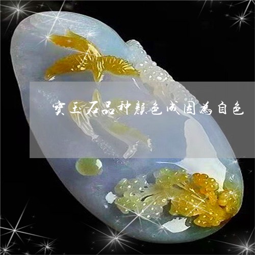 宝玉石品种颜色成因为自色/2023060993035