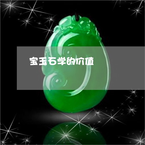 宝玉石学的价值/2023062362608