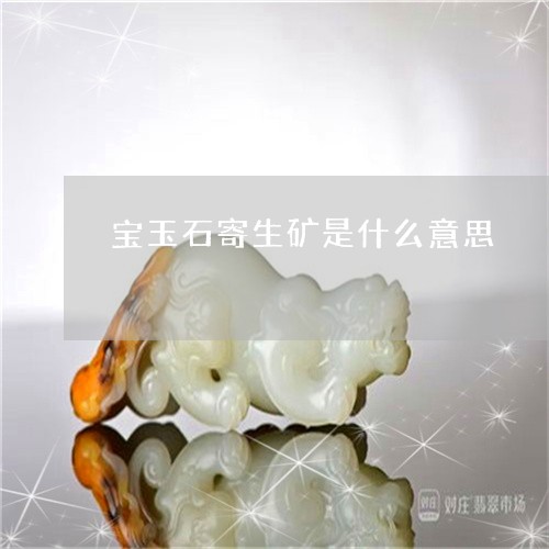 宝玉石寄生矿是什么意思/2023110792484