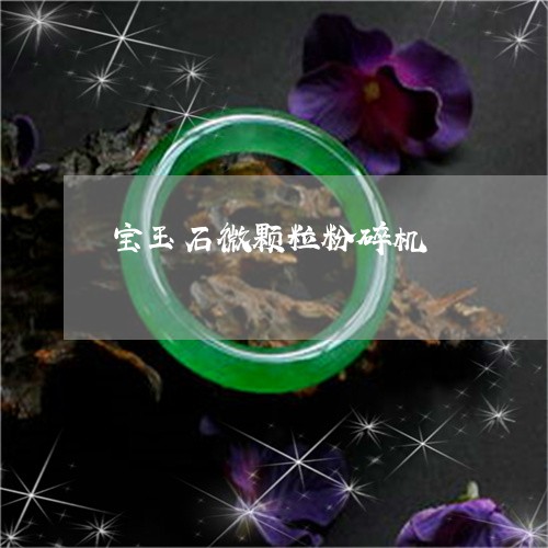 宝玉石微颗粒粉碎机/2023121631607