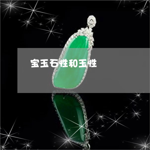 宝玉石性和玉性/2023042573834