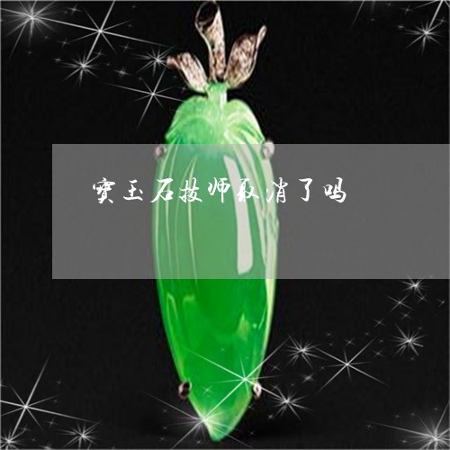 宝玉石技师取消了吗/2023120527261