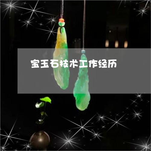 宝玉石技术工作经历/2023121686271