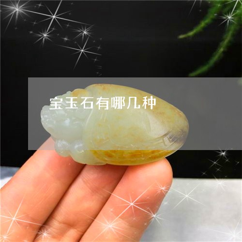 宝玉石有哪几种/2023062322816