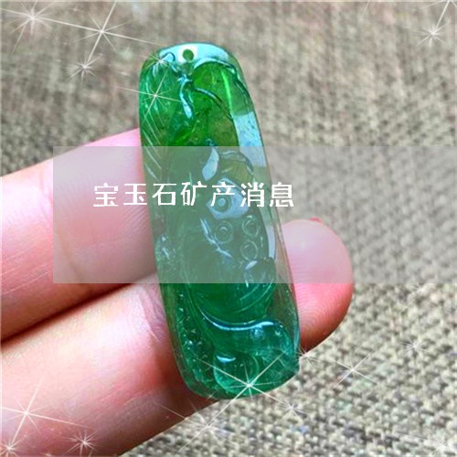 宝玉石矿产消息/2023062397040