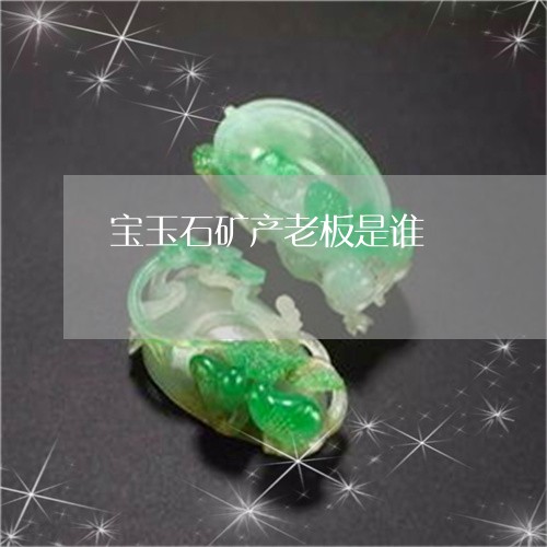 宝玉石矿产老板是谁/2023121641624