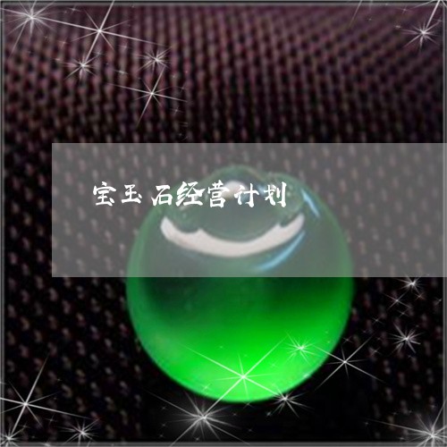 宝玉石经营计划/2023082503737