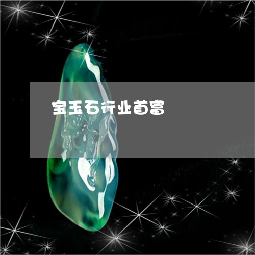 宝玉石行业首富/2023062347149