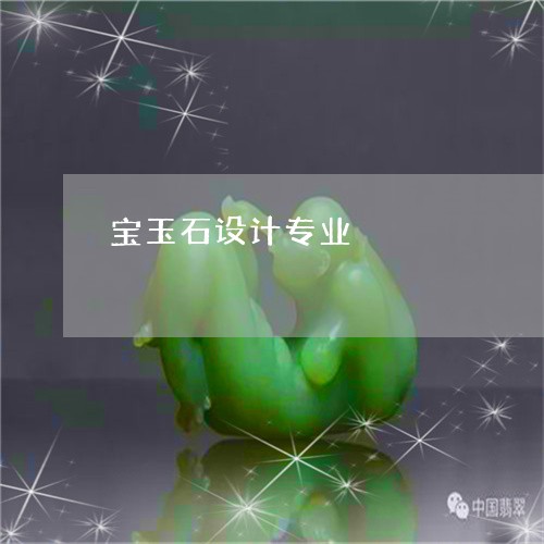 宝玉石设计专业/2023082571594