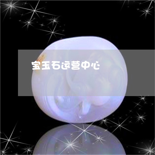 宝玉石运营中心/2023082541604