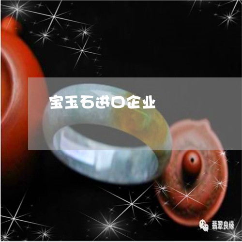 宝玉石进口企业/2023082542514