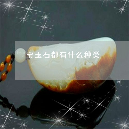 宝玉石都有什么种类/2023121681814