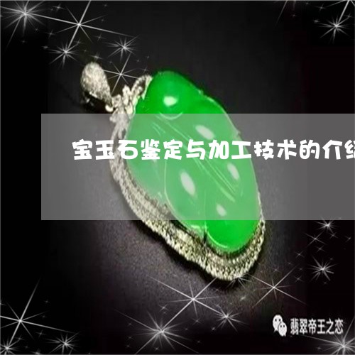 宝玉石鉴定与加工技术的介绍/2023112342915