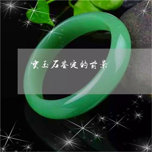 宝玉石鉴定的前景/2023093053037