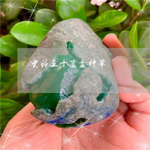 宝珀五十蓝盘种草/2023093061684