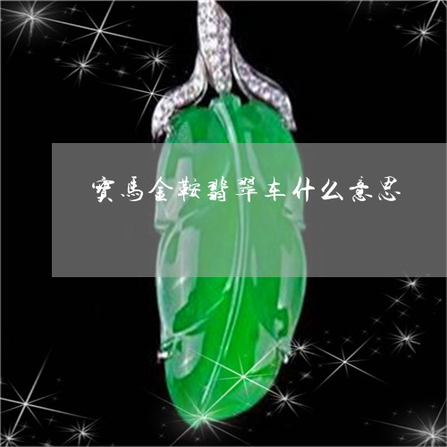 宝马金鞍翡翠车什么意思/2023110713925