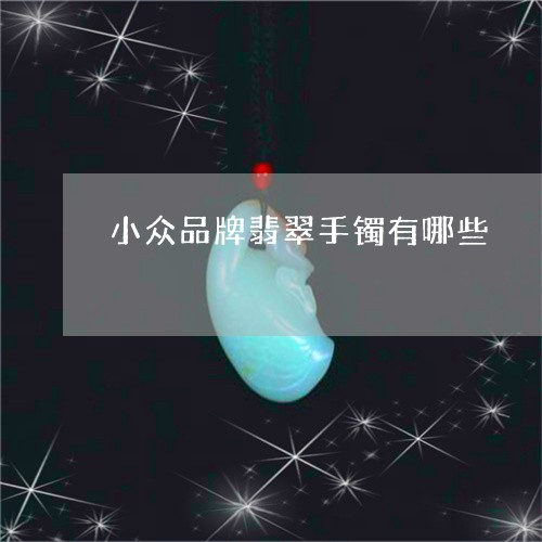 小众品牌翡翠手镯有哪些/2023091405836