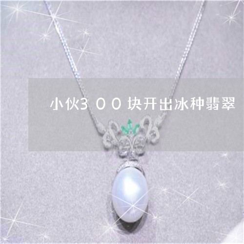 小伙300块开出冰种翡翠/2023080112748