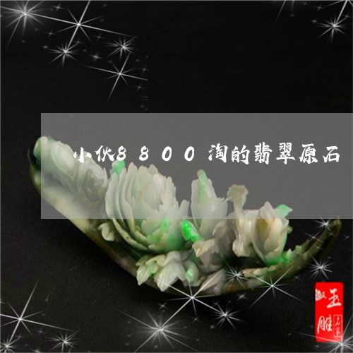 小伙8800淘的翡翠原石/2023092275159