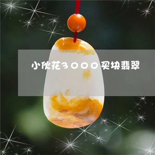 小伙花3000买块翡翠/2023110758471