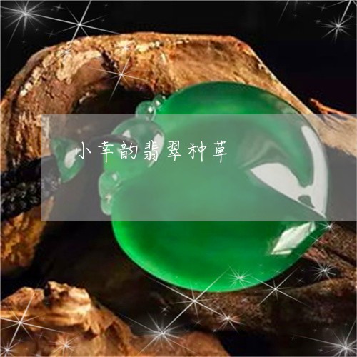 小幸韵翡翠种草/2023092914837