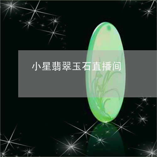 小星翡翠玉石直播间/2023093072504