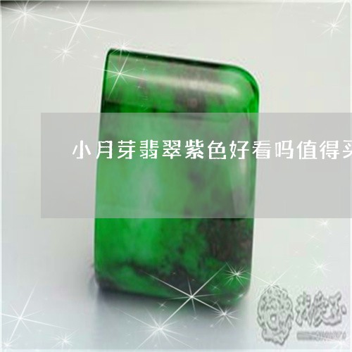 小月芽翡翠紫色好看吗值得买吗/2023112584056