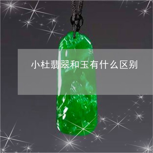 小杜翡翠和玉有什么区别/2023041698581