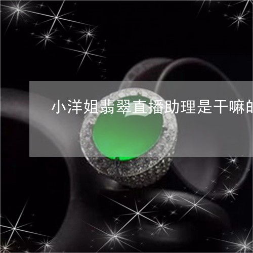 小洋姐翡翠直播助理是干嘛的/2023112433928