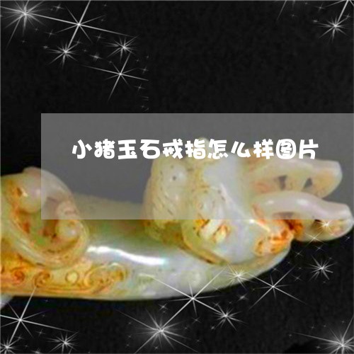 小猪玉石戒指怎么样图片/2023041695715