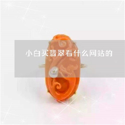 小白买翡翠看什么网站的/2023110816360