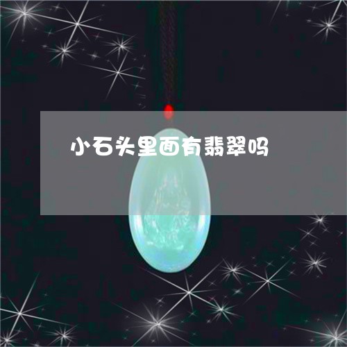 小石头里面有翡翠吗/2023121508461